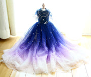 Handmade Elegant Gradient Pearl Dog Gown Luxurious Pet Princess Dress Tulle Trailing Dress 