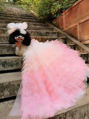 Pink Candy Bloom Gown For Dog 