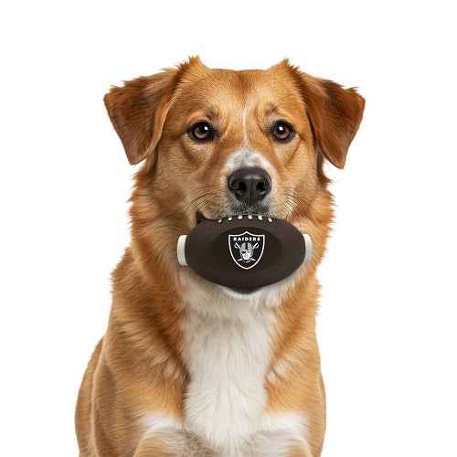 Las Vegas Raiders Treat Dispenser Toy