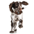Load image into Gallery viewer, Las Vegas Raiders Hard Nylon Football Chew Toy
