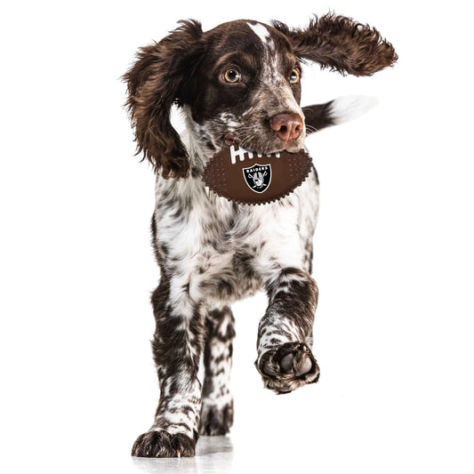 Las Vegas Raiders Hard Nylon Football Chew Toy