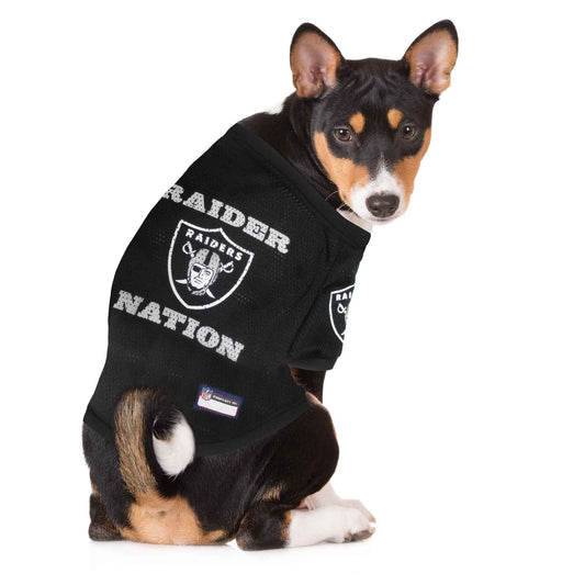 NFL Las Vegas Raiders Raglan Dog Jersey
