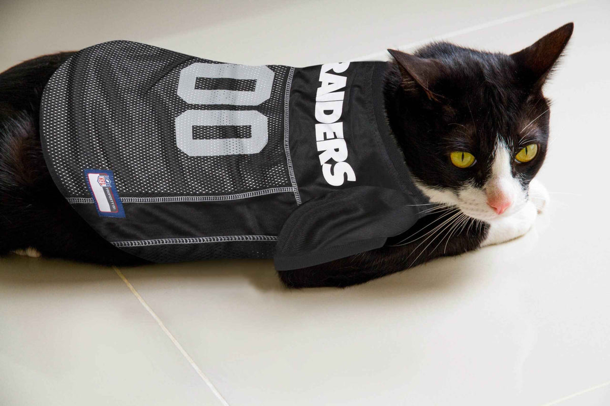 NFL Las Vegas Raiders Mesh Dog Jersey