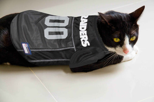 NFL Las Vegas Raiders Mesh Dog Jersey