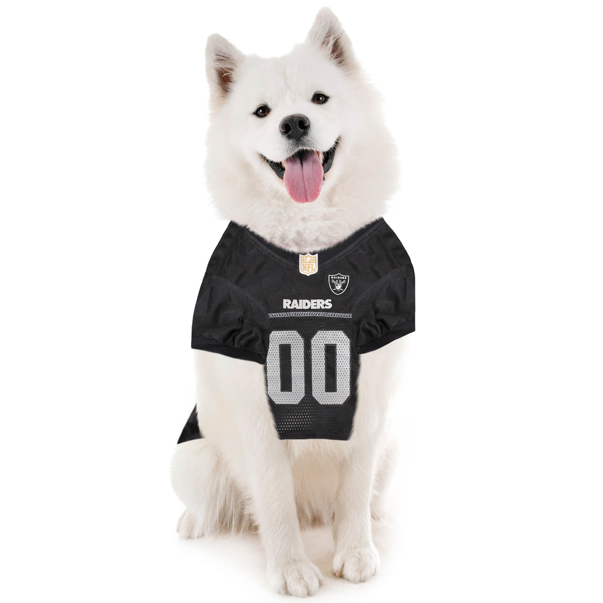 NFL Las Vegas Raiders Striped Mesh Dog Jersey