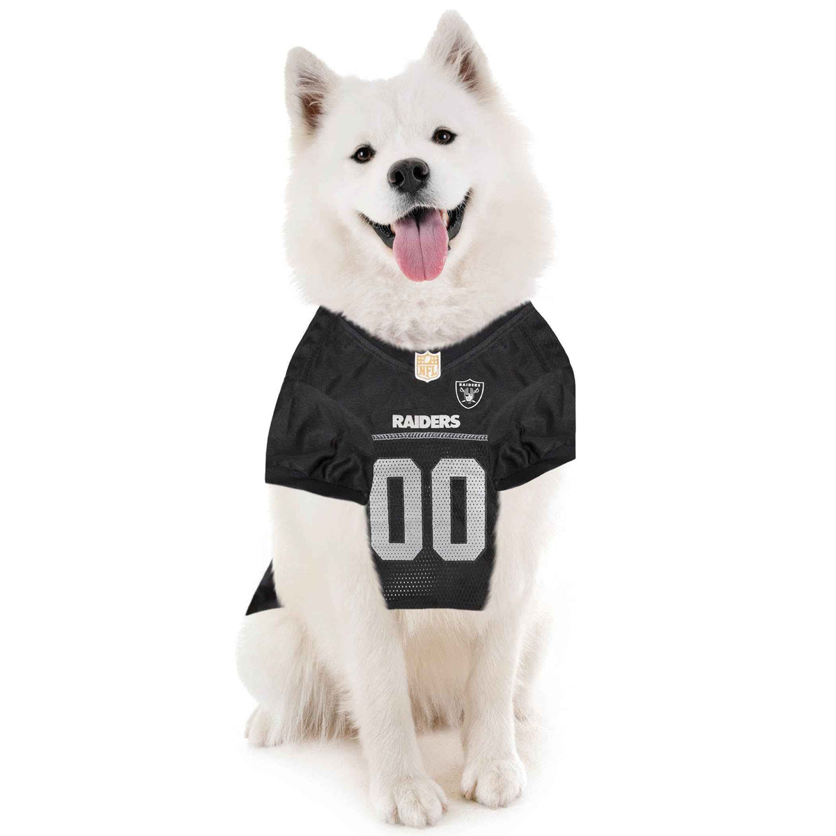 NFL Las Vegas Raiders Striped Mesh Dog Jersey