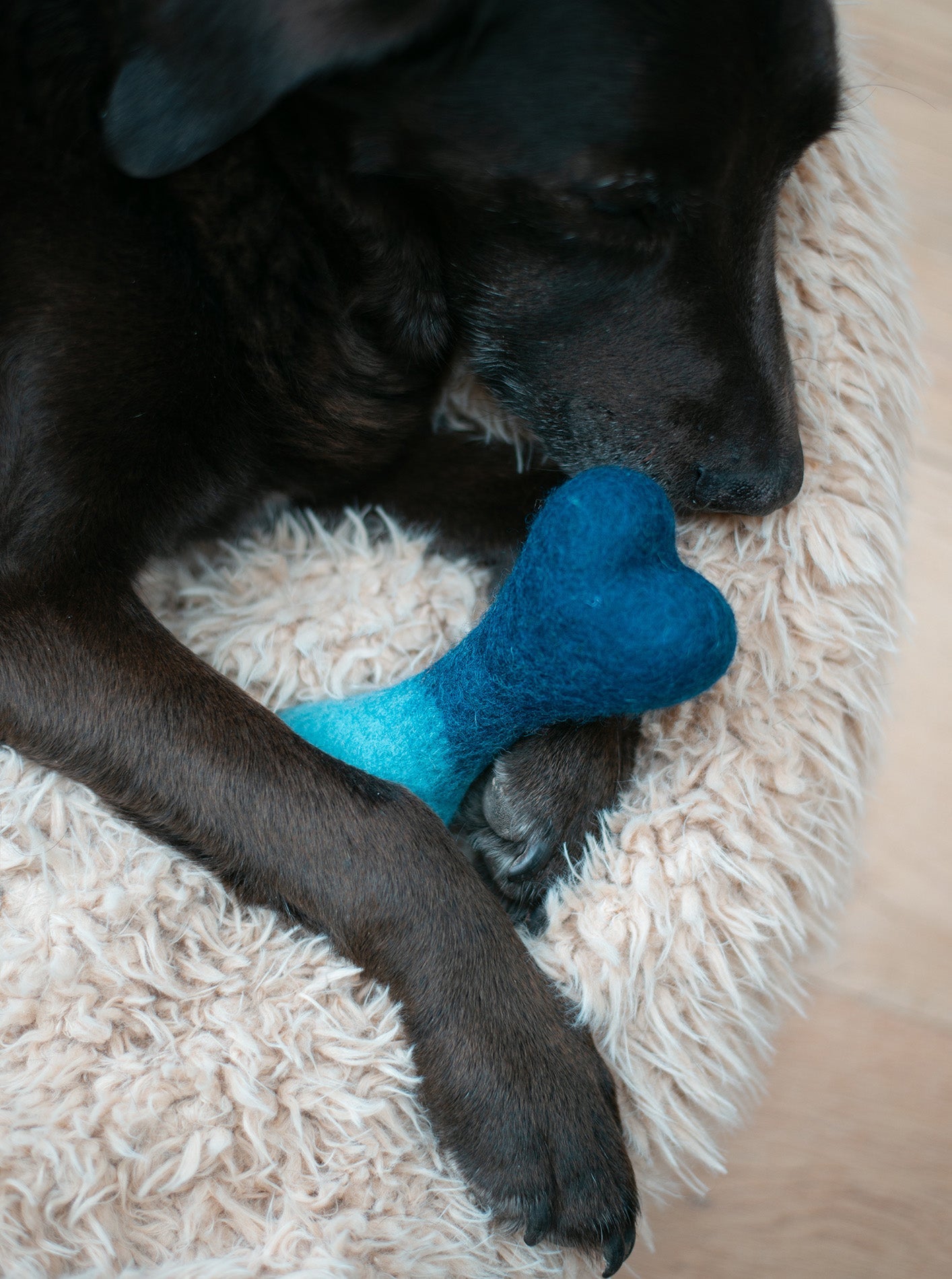 OMBRE WOOLBONE - Southlake Paws