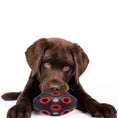 Load image into Gallery viewer, Ohio State Treat Dispenser Toy
