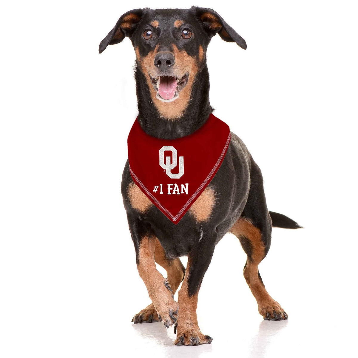 Oklahoma Tie-Around Dog Bandana