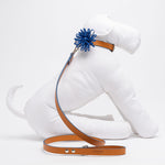 Cobalt Anemone Dog Collar