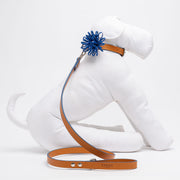 Cobalt Dog Leash
