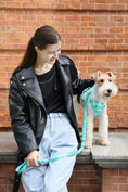 Load image into Gallery viewer, PADDED  ACTIVE  PET LEASH  - APRICOT
