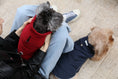 Load image into Gallery viewer, Reversible Dog Vest Jacket - Red

