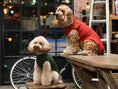 Load image into Gallery viewer, Pet Sweater Vest - Green
