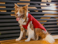 Load image into Gallery viewer, Pet Sweater Vest - Red

