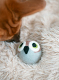 Load image into Gallery viewer, WISE OLD OWL BEASTBALL - Southlake Paws

