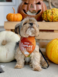 Load image into Gallery viewer, Official Turkey Tester Luxe Flannel Dog Bandana
