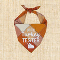 Load image into Gallery viewer, Official Turkey Tester Luxe Flannel Dog Bandana
