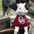 Load image into Gallery viewer, NCAA University of Oklahoma, Sooner Knottie® Plush Dog Toy - image 5

