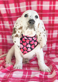 Load image into Gallery viewer, Ombre Hearts Valentine Bandana
