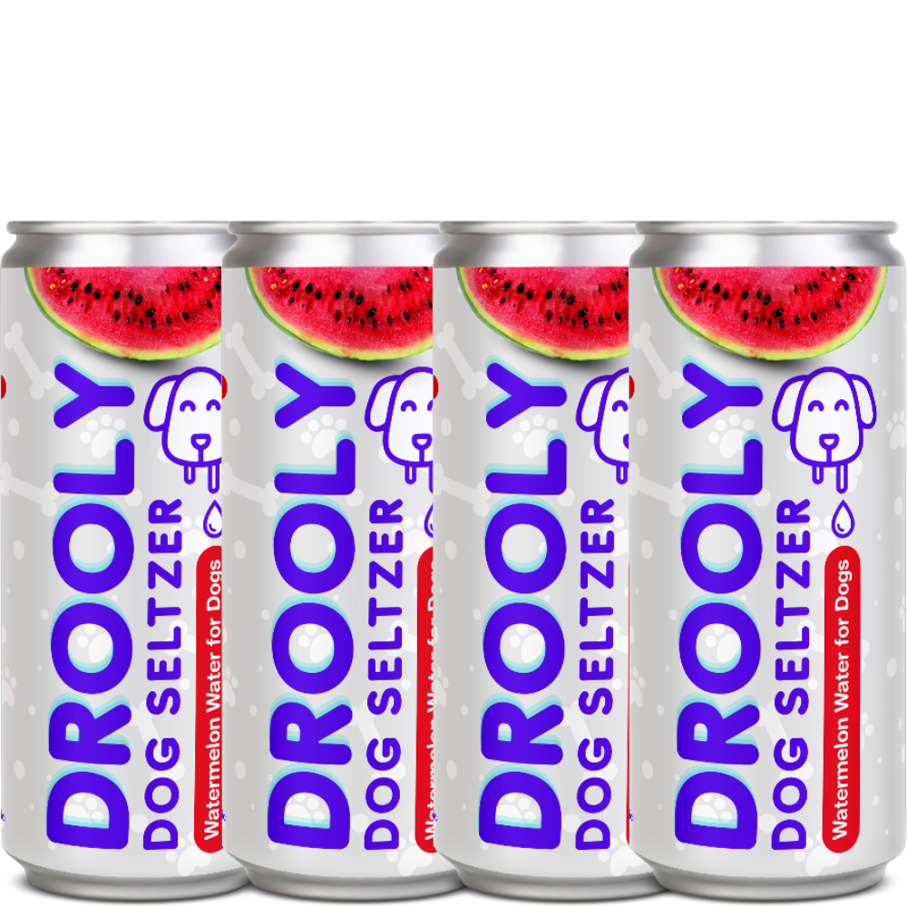 DROOLY Coconut Dog Water dog hydration treat bottle on white background