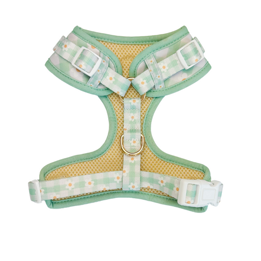 Oopsie Daisy! Adjustable Harness
