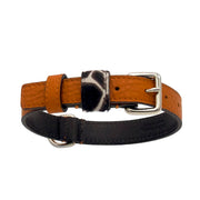 Orange Desert Dog Collar
