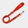 Load image into Gallery viewer, EcoBark Safety Orange Dog Leash- Padded Comfort Grip Leash with Dog Pattern - 4ft, 5ft, and 6ft Leash for Small and Medium Dogs
