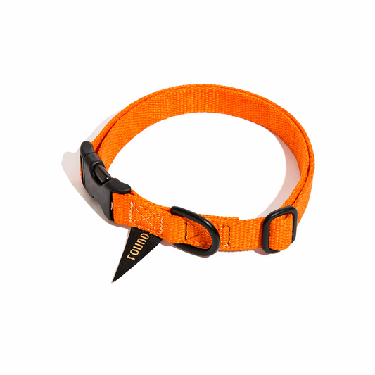 Found Classic Cotton Dog Collar | Orange – Matte Black Hardware