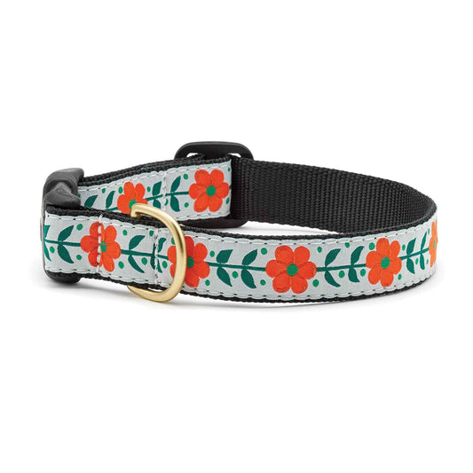 Up Country Orange You Pretty Cast Brass Dog Collar