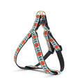 Load image into Gallery viewer, Up Country Orange You Pretty Dog Cast Brass Dog Harness
