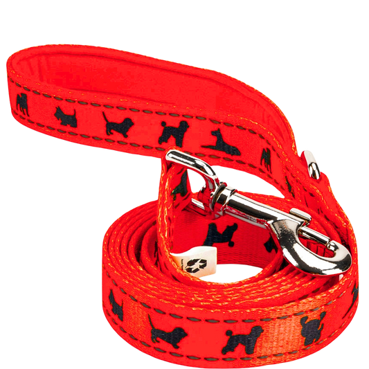 EcoBark Safety Orange Dog Leash- Padded Comfort Grip Leash with Dog Pattern - 4ft, 5ft, and 6ft Leash for Small and Medium Dogs