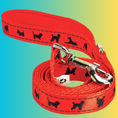 Load image into Gallery viewer, EcoBark Safety Orange Dog Leash- Padded Comfort Grip Leash with Dog Pattern - 4ft, 5ft, and 6ft Leash for Small and Medium Dogs
