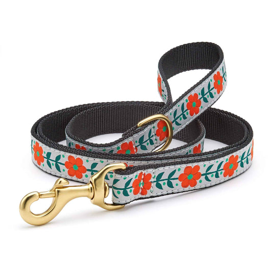 Up Country Orange You Pretty Cast Brass Dog Leash