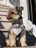 Load image into Gallery viewer, Organic Cotton Birthday Bandana

