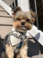 Organic Cotton Birthday Bandana