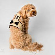 The Coco Dog Harness (Bone)
