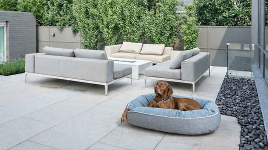 Bowsers Ovie Orthopedic Dog Bed - Supportive Joint-Relief Comfort