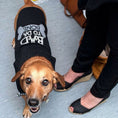 Load image into Gallery viewer, Parisian Pet 'Bad to da Bone' Dog Shirt – Trendy Slogan T-Shirt for Dogs & Cats, Black
