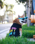 Load image into Gallery viewer, Parisian Pet 'Sexy and I Know It' Dog & Cat Shirt – Humorous Embroidered Novelty Pet Apparel, Comfortable & Stylish – Black
