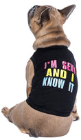 Load image into Gallery viewer, Parisian Pet 'Sexy and I Know It' Dog & Cat Shirt – Humorous Embroidered Novelty Pet Apparel, Comfortable & Stylish – Black
