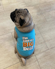 Parisian Pet 'I'm Kind of a Big Deal' Humorous Dog Shirt – Embroidered Graphic Pet T-Shirt for Dogs & Cats, Light Blue
