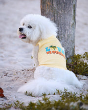 Parisian Pet 'Love Florida' Pet Apparel – Trendy Florida Pride Dog Shirt for Small Dogs & Cats, Yellow