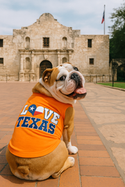 Parisian Pet 'Love Texas' Pet T-Shirt – Trendy Texas-Themed Outfit for Small Dogs & Cats, Orange