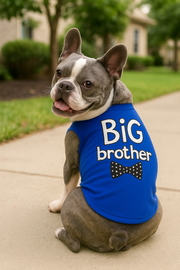 Parisian Pet 'Big Brother' Embroidered Pet T-Shirt – Cute Sibling Announcement Dog Shirt for Dogs & Cats, Blue