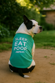 Parisian Pet 'Sleep Eat Poop' Playful Dog Shirt – Trendy Embroidered Pet Apparel for Dogs & Cats, Saint Patrick's Day