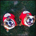 Load image into Gallery viewer, Parisian Pet 'Dog 2' Funny Slogan Dog Shirt – Playful Embroidered Pet Apparel for Dogs & Cats, Red
