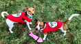 Load image into Gallery viewer, Parisian Pet 'Dog 2' Funny Slogan Dog Shirt – Playful Embroidered Pet Apparel for Dogs & Cats, Red
