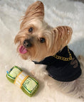 Load image into Gallery viewer, Parisian Pet 'Bling $' Dog Shirt – Sparkly Embroidered Pet T-Shirt for Dogs & Cats, Black
