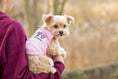 Load image into Gallery viewer, Parisian Pet 'XOXO' Soft Cotton Slogan Dog T-Shirt – Trendy and Comfortable Outfit for Small Dogs & Cats, Pink-Valentine's Day
